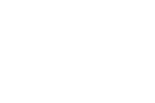 hammerhead